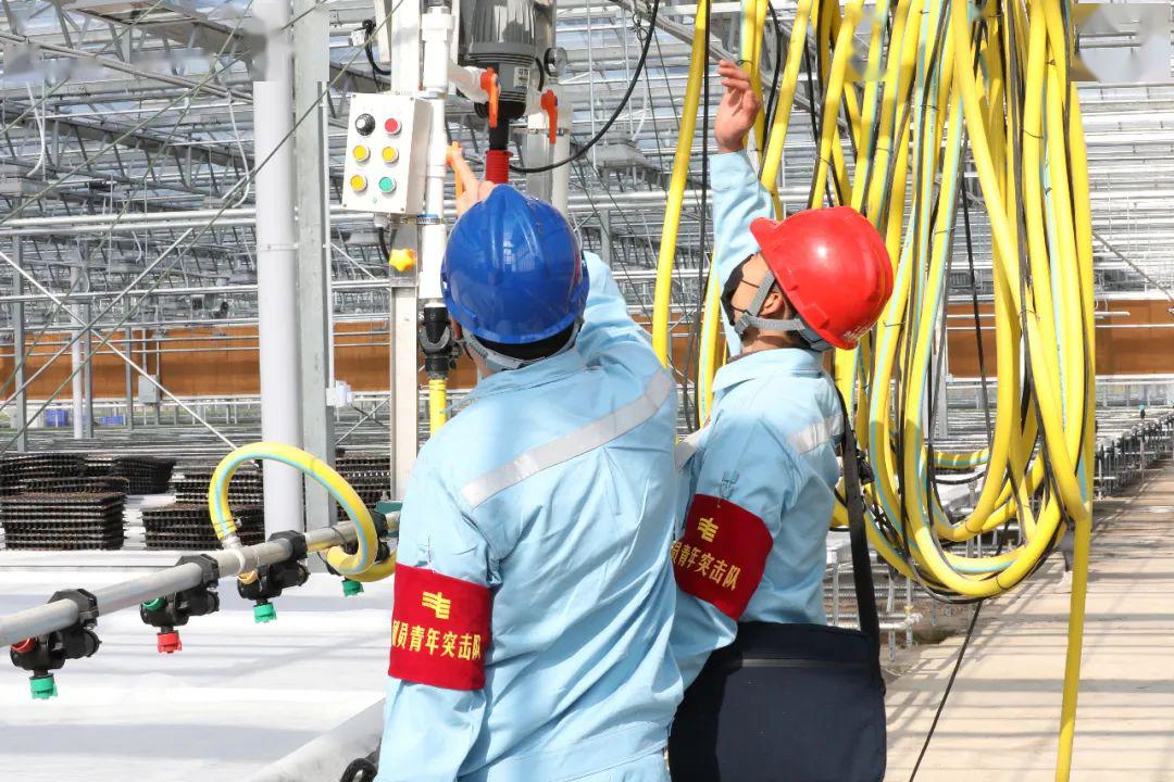 草海機(jī)場最新動(dòng)態(tài)揭秘，建設(shè)進(jìn)展、航班信息及未來展望