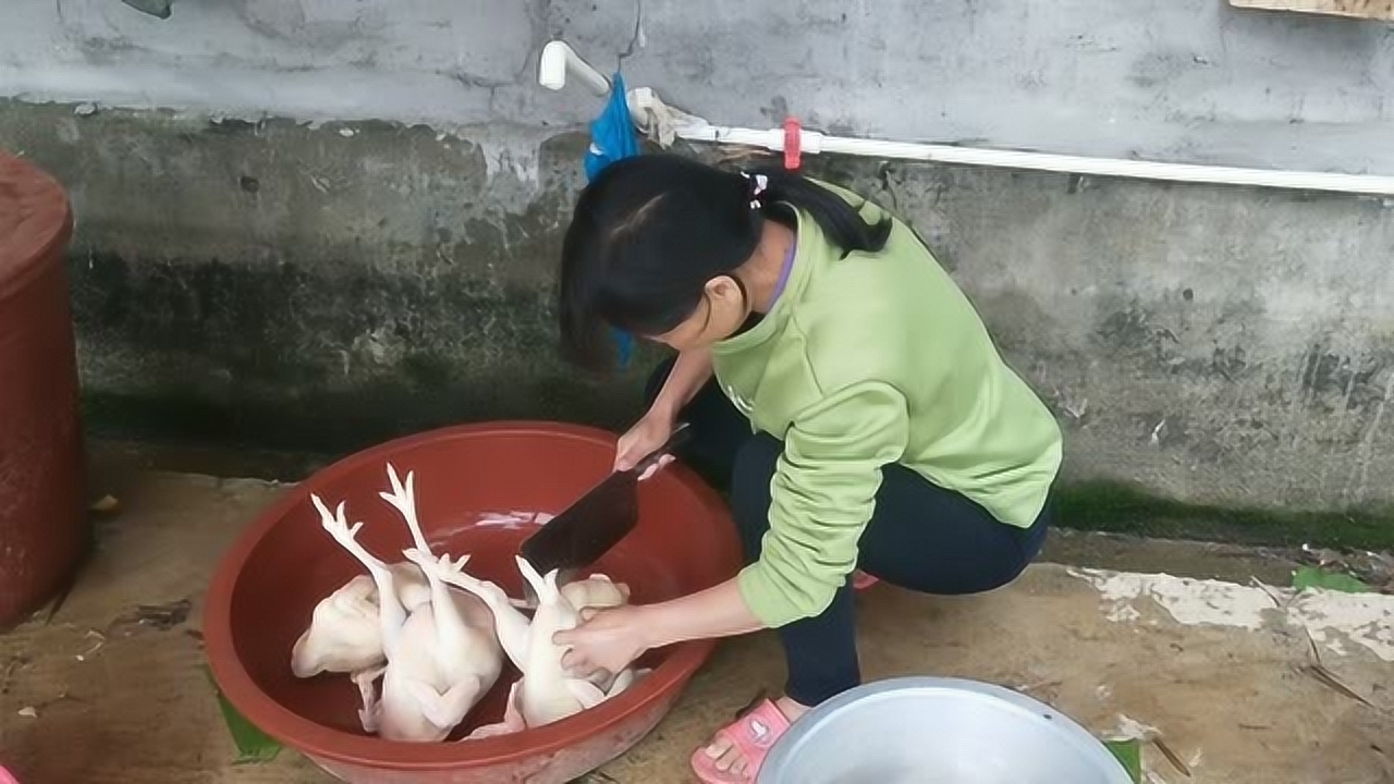 關(guān)于阿梅殺雞視頻的理性分析與網(wǎng)絡(luò)倫理道德探討，警惕涉黃內(nèi)容侵蝕社會倫理底線。