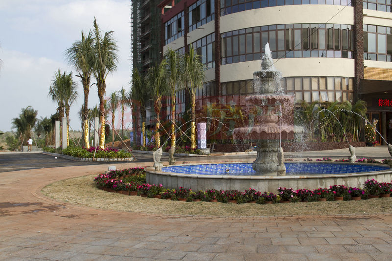 棕櫚水城最新動態(tài)，塑造理想生活新標(biāo)桿！