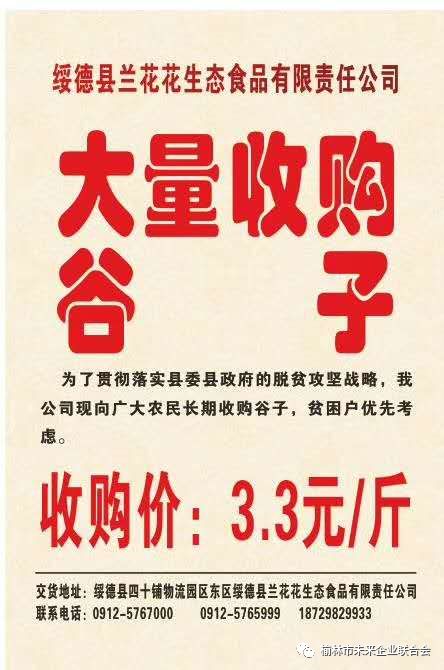 淄川最新財務(wù)招聘，職業(yè)發(fā)展的理想選擇