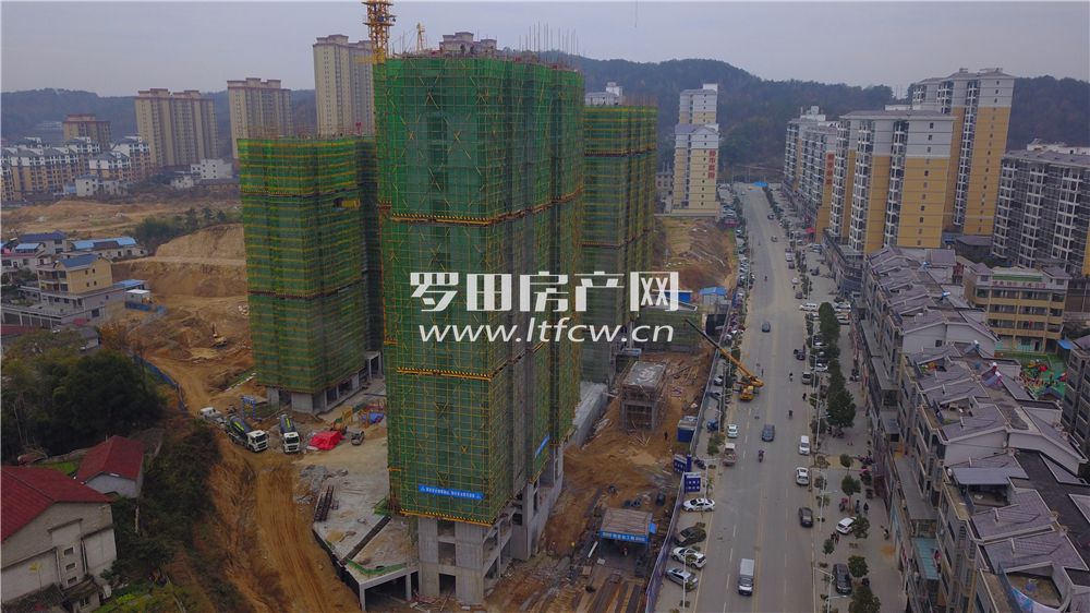 羅田最新房價(jià)揭秘，洞悉市場動態(tài)，掌握房價(jià)走勢！