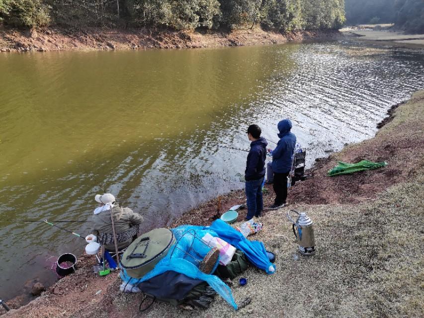 最新水庫釣魚視頻，探索釣魚樂趣與技巧全攻略