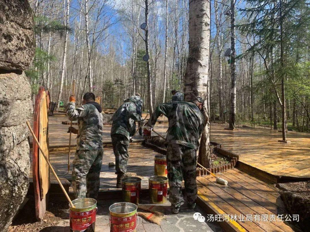 探尋神秘寶石世界的獨特魅力，最新奇石新聞報道