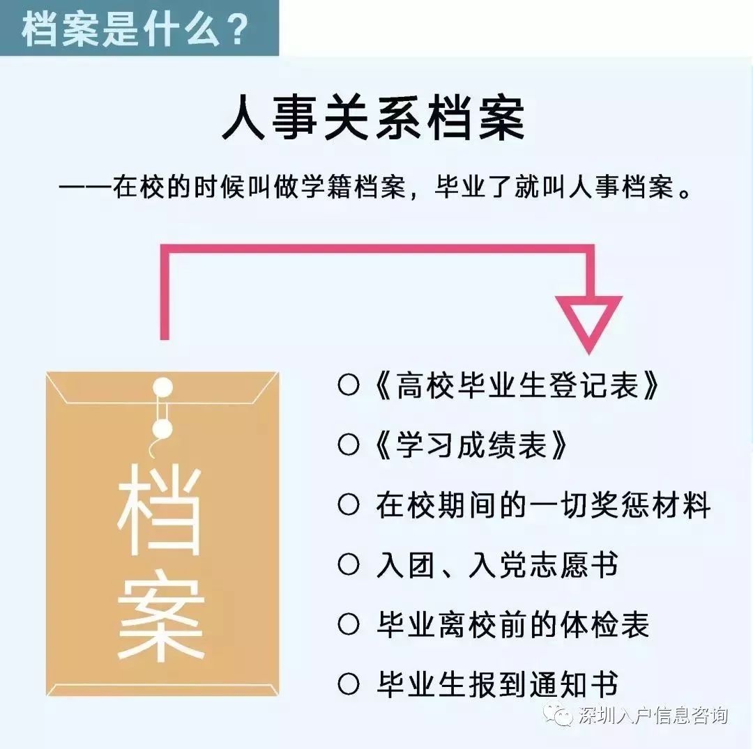 檔案人員補貼最新觀點論述，探討補貼政策與檔案人員發(fā)展的關(guān)系