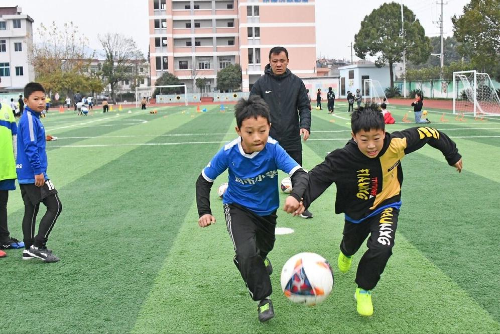 蕭縣最新招標信息解析與動態(tài)速遞