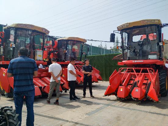 邳州玉米最新價(jià)格，時(shí)代見(jiàn)證下的市場(chǎng)動(dòng)態(tài)