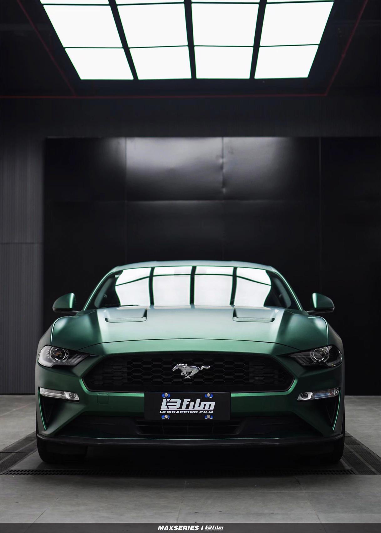 最新野馬汽車，技術(shù)革新與市場競爭的展現(xiàn)