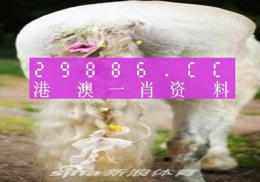澳門四不像精準一肖一碼,數(shù)據分析計劃_UVR10.888智慧版