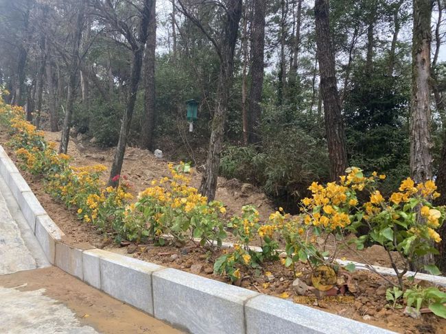 桂平手工，傳統(tǒng)與創(chuàng)新的完美交融