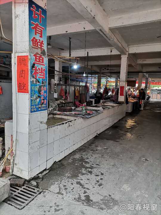 最新魚檔轉(zhuǎn)讓，把握商機，輕松開啟水產(chǎn)養(yǎng)殖事業(yè)之路