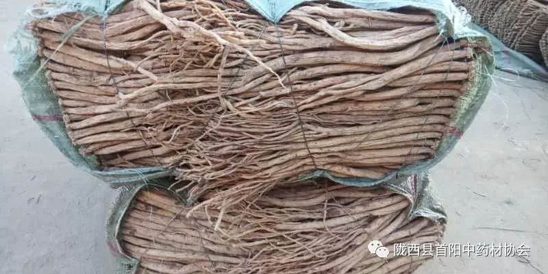 渭源黨參干貨最新價(jià)格及獲取指南，了解黨參干貨價(jià)格走勢與行情分析