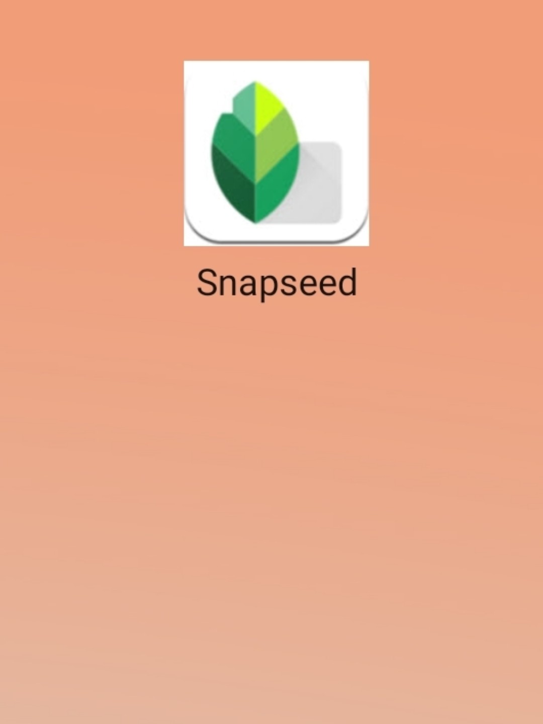 最新snapseed中文版，科技重塑影像，讓生活因攝影更精彩