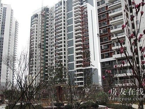 綠地長(zhǎng)島公寓最新價(jià)格揭秘，小巷深處的隱藏寶藏