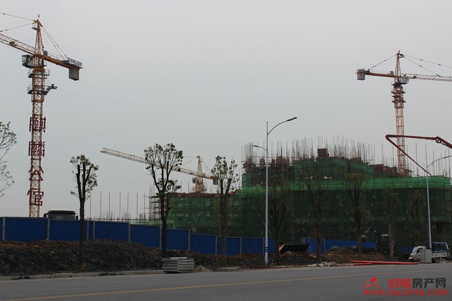 池州麒麟公館最新動(dòng)態(tài)揭秘，最新進(jìn)展與資訊更新