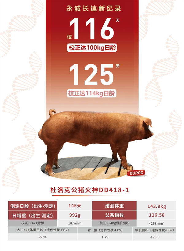 香港二四六最快開獎,專業(yè)解讀操行解決_HMG83.231光輝版