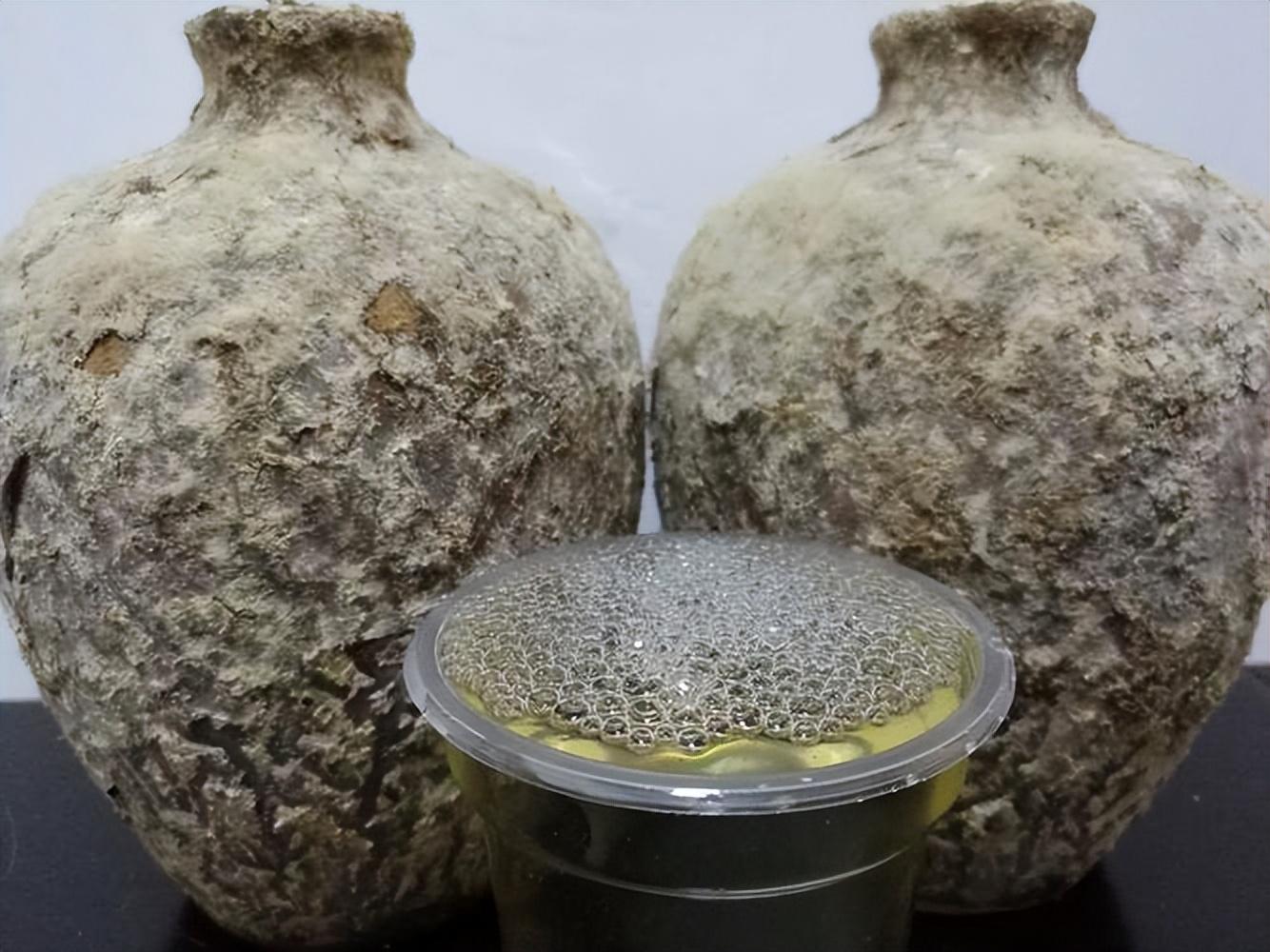 仁懷房屋出售最新信息，科技與家居融合，未來家居新體驗重磅推出