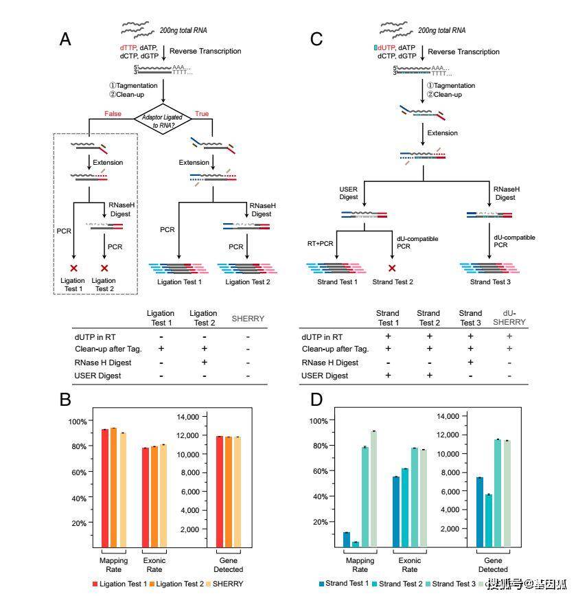 新澳門(mén)49圖資料,科學(xué)分析嚴(yán)謹(jǐn)解釋_BDU85.735跨平臺(tái)版