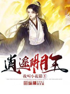 時(shí)代之光下的璀璨篇章，明月珰最新連載熱議熱議熱議！