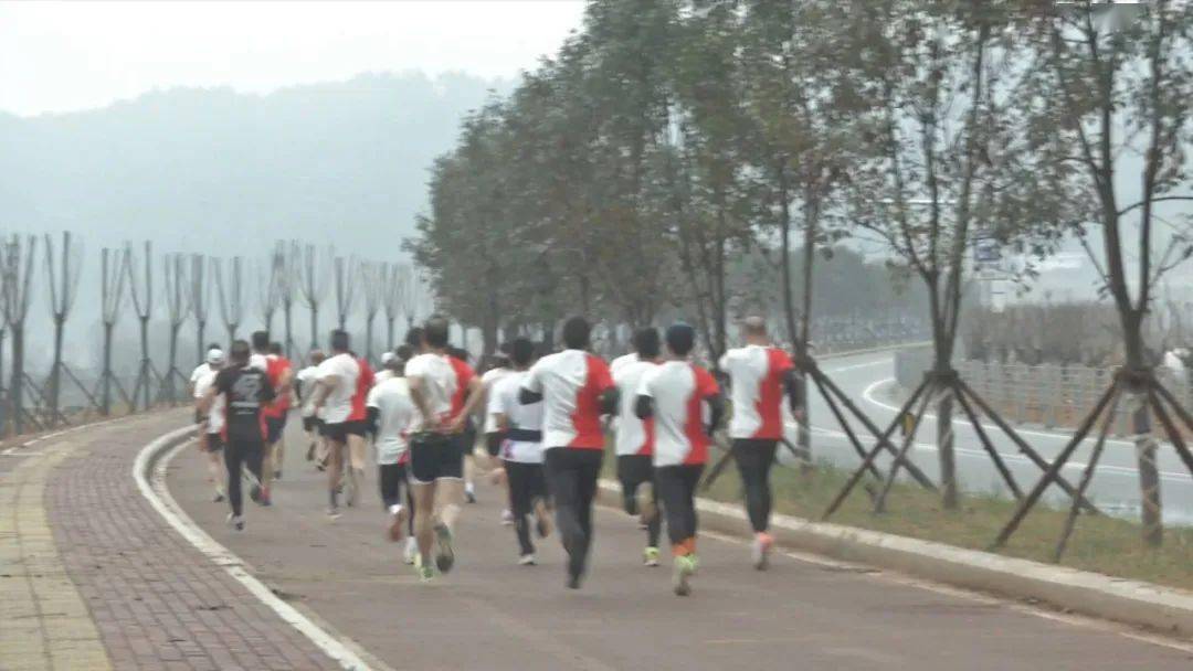 古田環(huán)湖路最新動態(tài)揭秘，時代脈搏與城市發(fā)展的融合之路