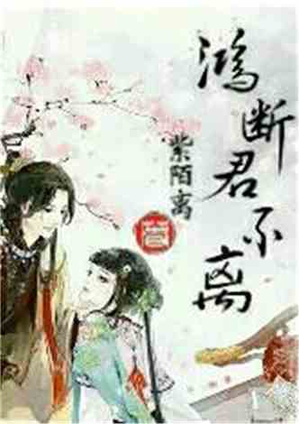 沈南汐最新小說(shuō)，知識(shí)的力量，成就夢(mèng)想的翅膀之路