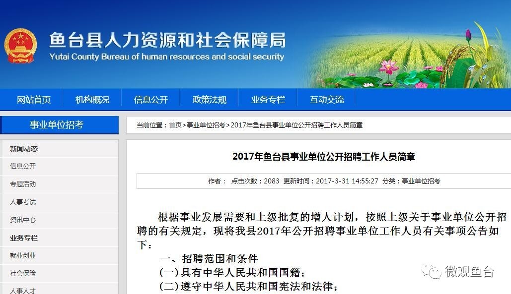 魚臺(tái)最新招聘信息大全，求職步驟指南與招聘信息更新速遞