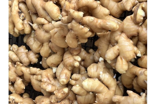 昌邑生姜市場(chǎng)最新價(jià)格指南，全面了解生姜市場(chǎng)行情與價(jià)格動(dòng)態(tài)