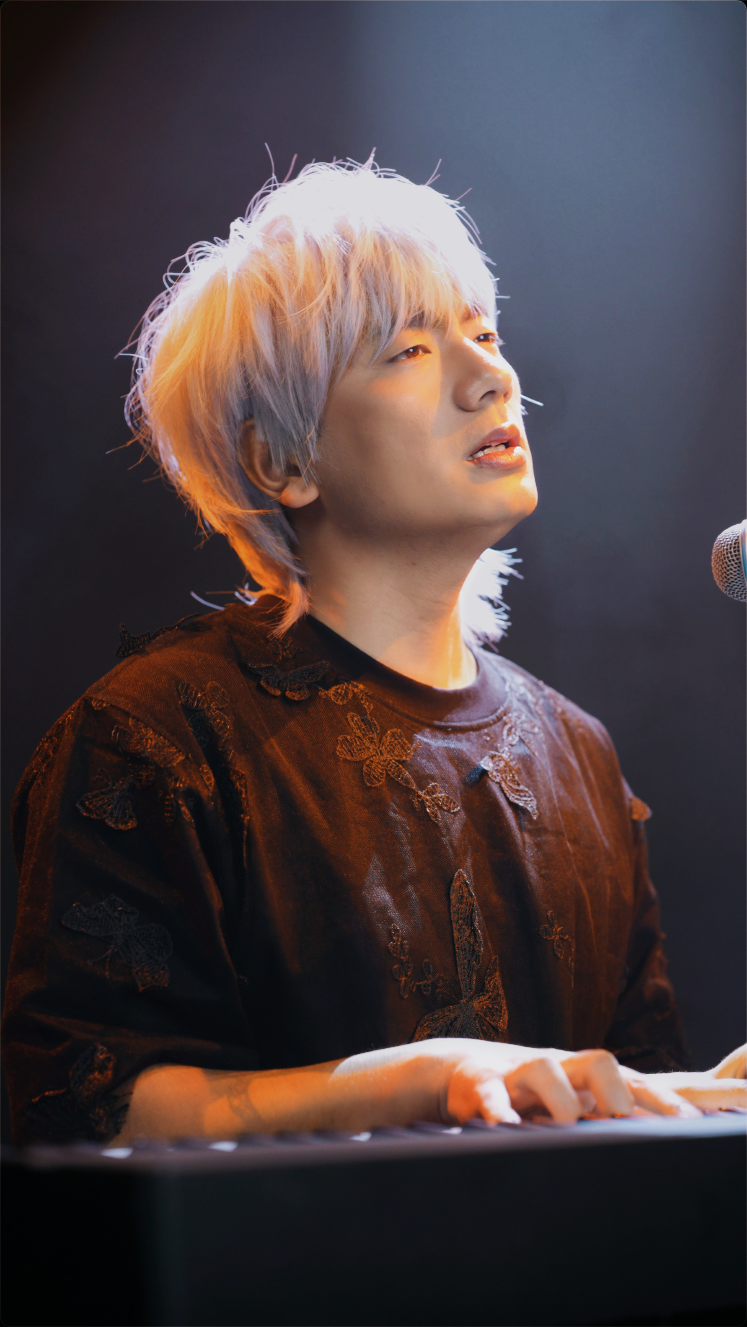 冷漠2024最新預(yù)告新歌，音樂(lè)與時(shí)代交融的期待之聲