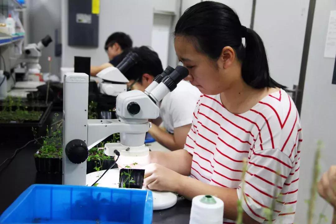 最新學(xué)科評(píng)估,最新學(xué)科評(píng)估引領(lǐng)科技革新——未來生活觸手可及的高科技產(chǎn)品介紹