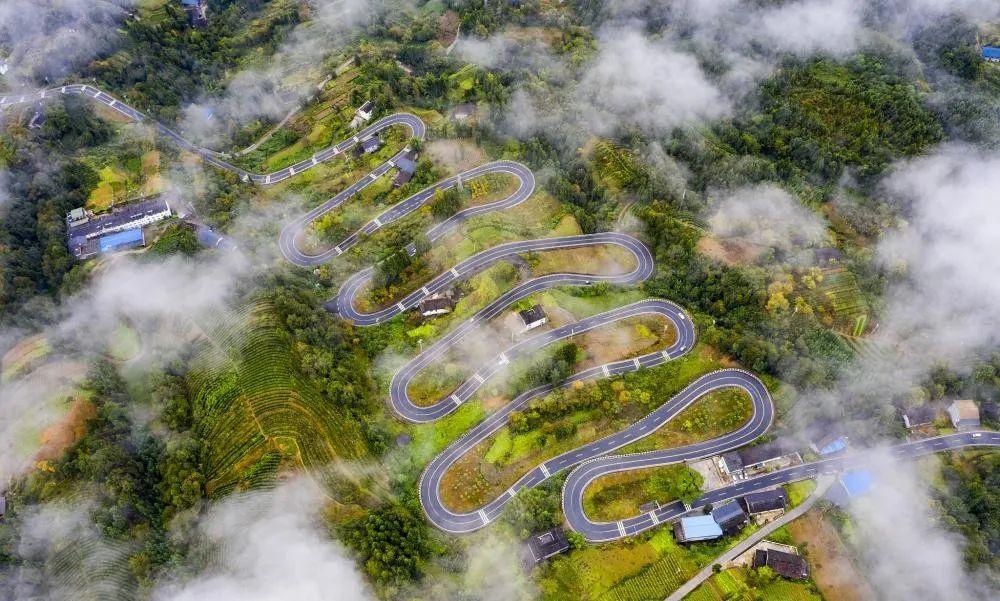 奉節(jié)云霧鄉(xiāng)的最新動態(tài)與溫馨日常，云霧中的快樂時光