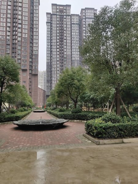 南陽(yáng)盛世御苑最新動(dòng)態(tài)揭秘，全面指南與步驟詳解