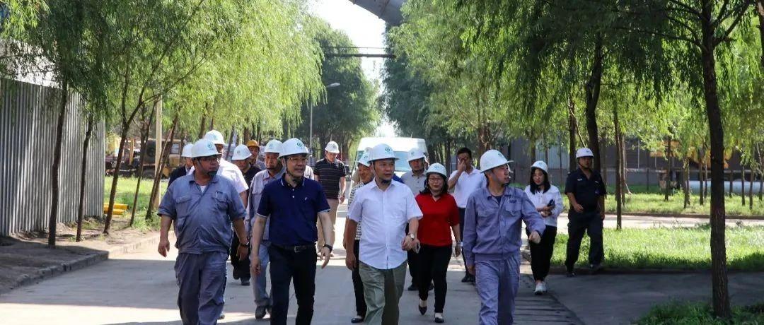 最新鍋爐工招聘信息揭秘，鍋爐工的溫馨日常故事探索