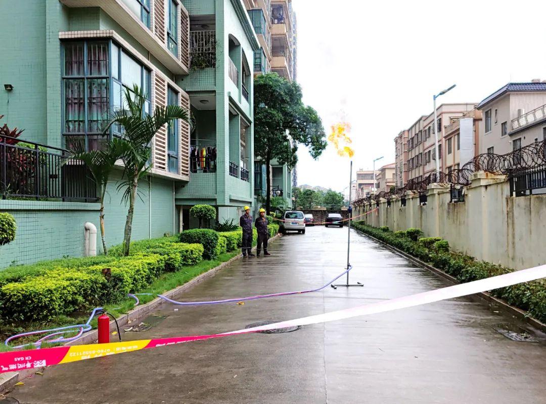 中山東鳳佛奧最新動態(tài)，自然美景的探索之旅，尋找內心平和與寧靜