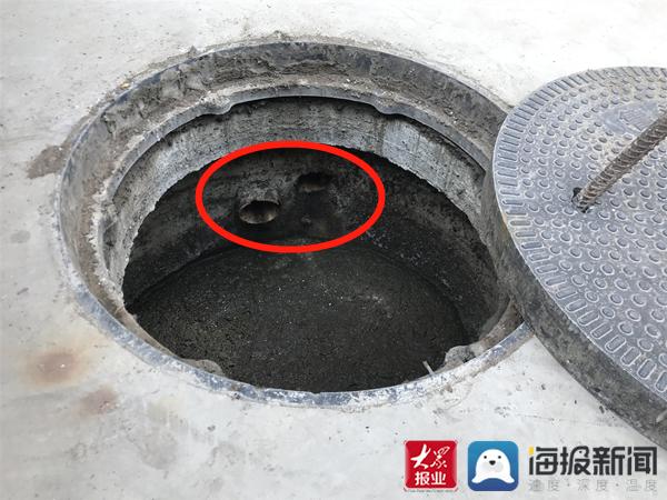 福建臺(tái)幫幫團(tuán)最新一期揭秘，小巷深處的隱藏美食瑰寶