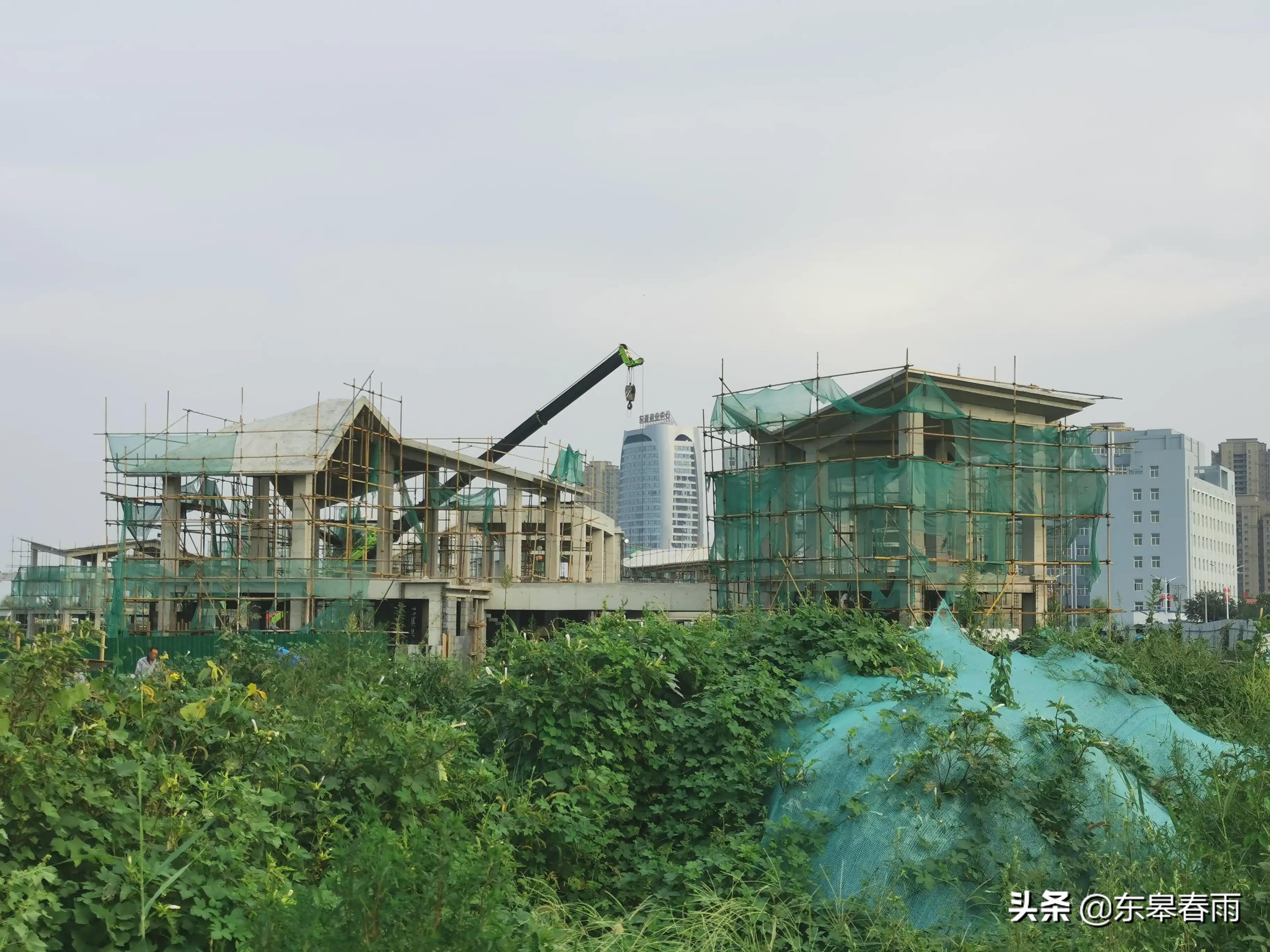 保定東湖一號(hào)最新動(dòng)態(tài)與歡樂(lè)日常體驗(yàn)