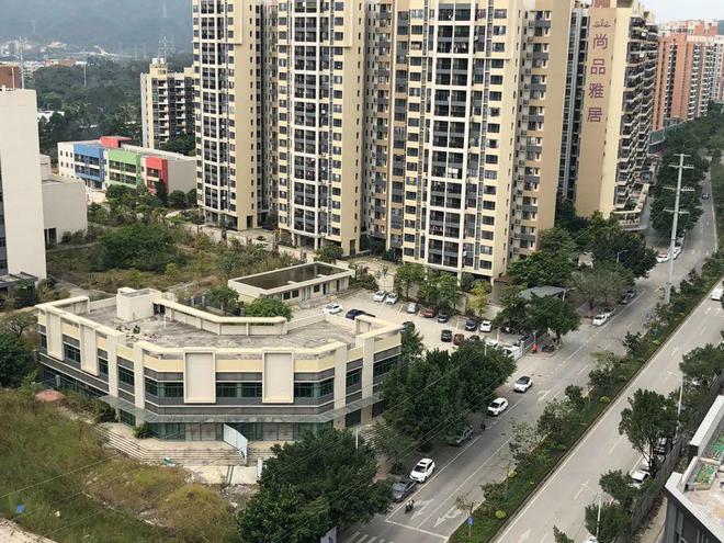 膠南山水雅居最新動(dòng)態(tài)，鄰里日常趣事與情感紐帶分享