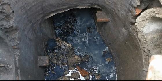 遂寧市電子廠最新招聘，與自然共舞，探尋內(nèi)心寧靜之旅