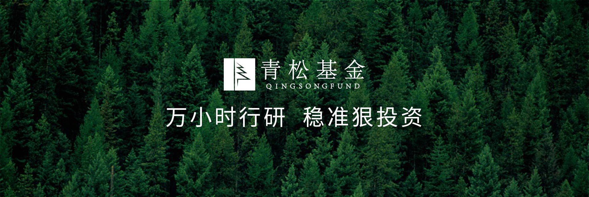 長青樹眾籌最新動態(tài)，背景、發(fā)展與時代地位探索