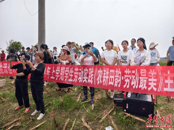 桃源木塘垸鄉(xiāng)新動態(tài)，趣事連連，真摯友情綻放鄉(xiāng)間