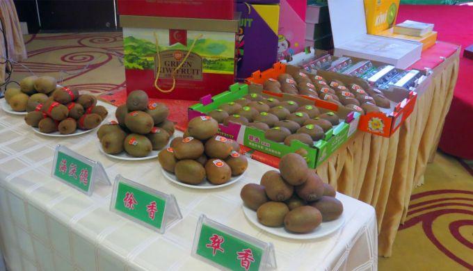 嘉興對接上海最新進展，城市崛起中的自信與成就感展現新面貌