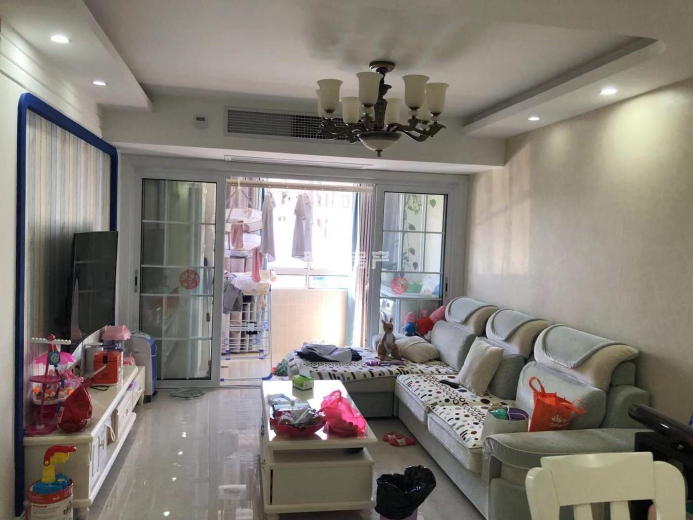 東坡最新個人二手房網(wǎng)，市場現(xiàn)象下的多元觀點深度探討