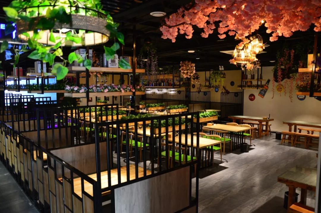 中餐廳最新一期音樂，熱門旋律與節(jié)目魅力的完美交融