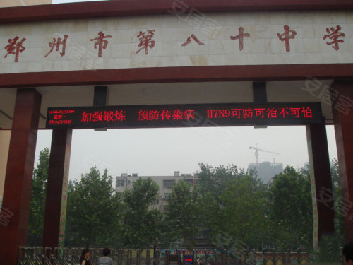 中原區(qū)九龍城最新動(dòng)態(tài)深度解析，最新進(jìn)展與觀點(diǎn)闡述