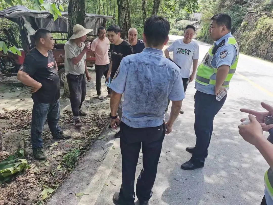 慶元最新事件，引領(lǐng)科技潮流的高科技產(chǎn)品揭秘