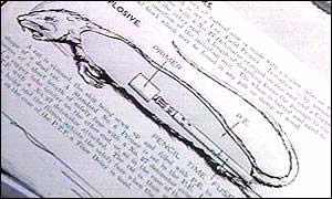美國填尸最新進展，高科技重塑生活，未來科技魅力體驗