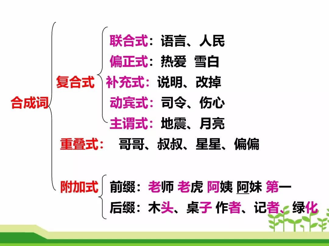 最新合成詞，語言發(fā)展的微觀視角探索