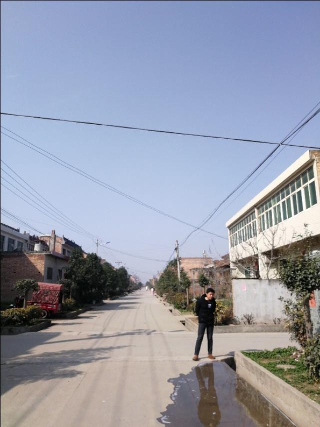 周至縣最新動態(tài)，發(fā)展脈搏與時代步伐的交融進(jìn)展