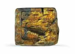 余厚蜀最新動態(tài)，科技前沿探索與行業(yè)創(chuàng)新引領(lǐng)