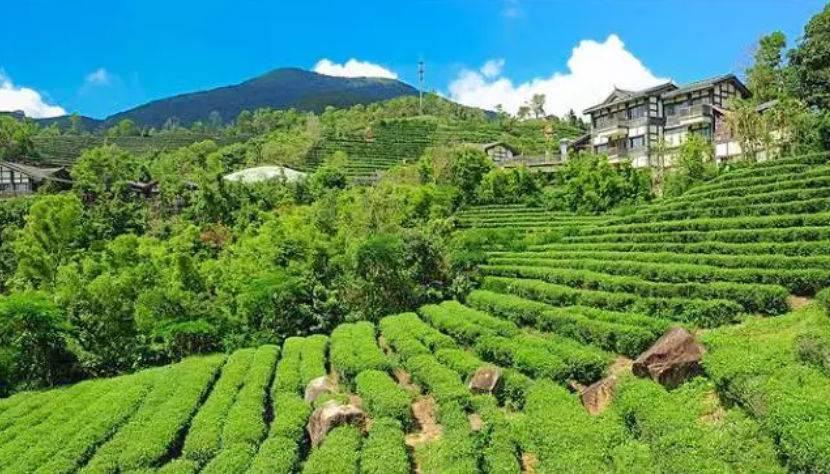 深圳驚喜活動(dòng)溫情之旅，日常中的特別瞬間