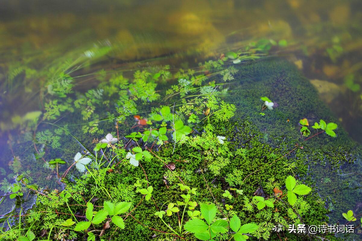 南山高樓崛起，背景、發(fā)展與時代地位全景解析