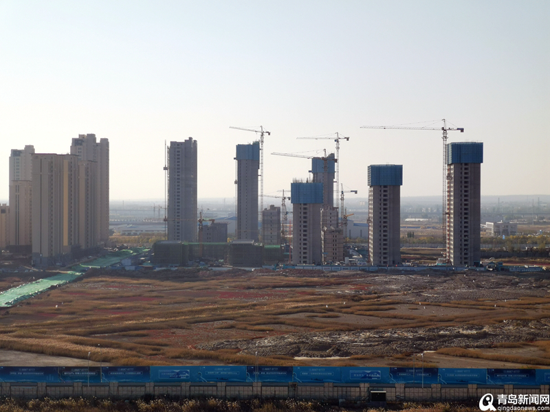 青島最新項目啟航新征程，自信成就夢想之路